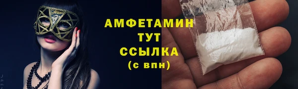 прущие грибы Баксан