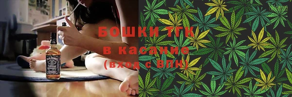 прущие грибы Баксан