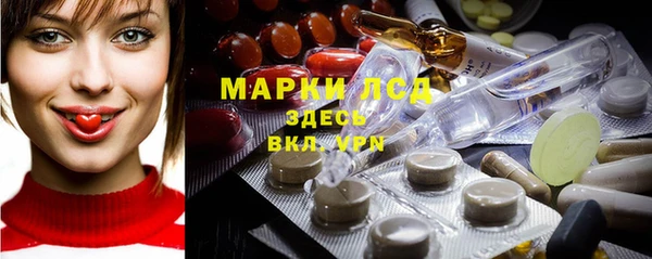 хмурый Аркадак
