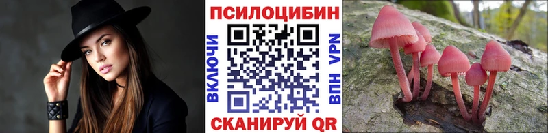 Галлюциногенные грибы Cubensis что такое Балей