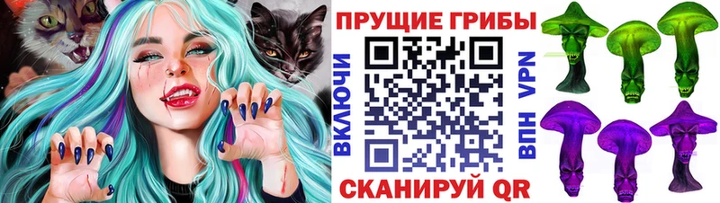 Псилоцибиновые грибы ЛСД Балей